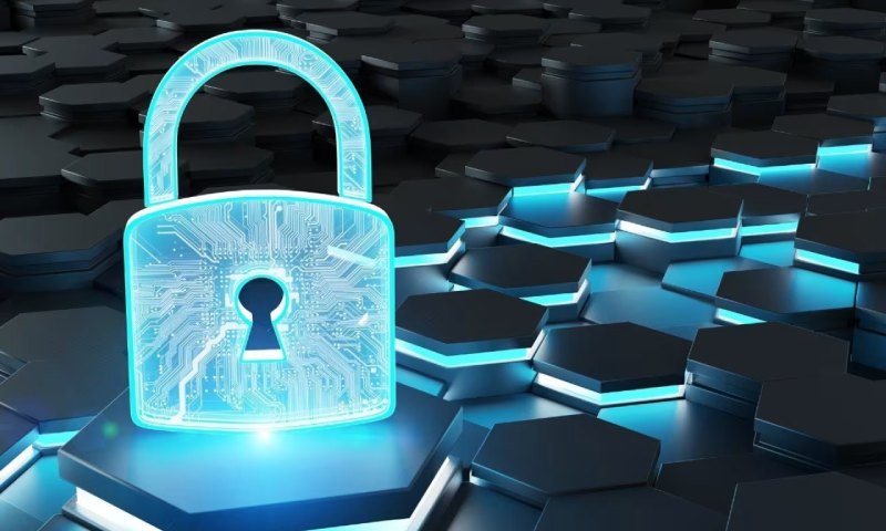 青白江区定制APP开发费用明细曝光